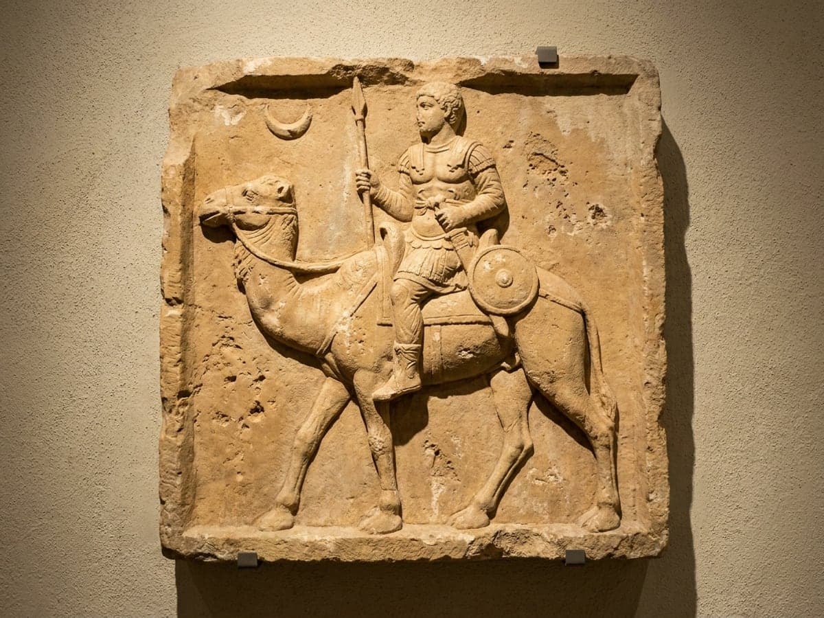 An illustration of a Palmyrene limestone relief: an armoured rider on a camel, carrying a spear, with a small round shield on the saddle and a crescent carved above